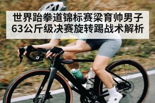 世界跆拳道锦标赛梁育帅男子63公斤级决赛旋转踢战术解析