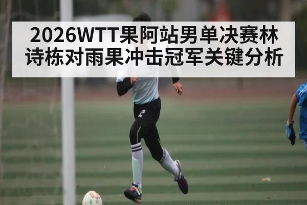2026WTT果阿站男单决赛林诗栋对雨果冲击冠军关键分析